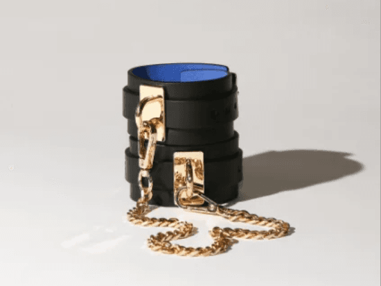 A leather collar with its gold chain.